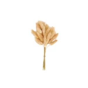 Discount CASA MINA Deco Seco Castanho