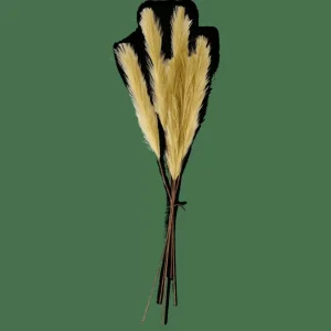 Outlet CASA PLUME Plumas Decorativas Verde