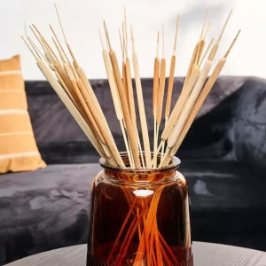 Cheap CASA TYPHA Canas Conjunto De 15 Natural
