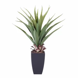 Cheap CASA VERA Vetplant Op Stick Verde